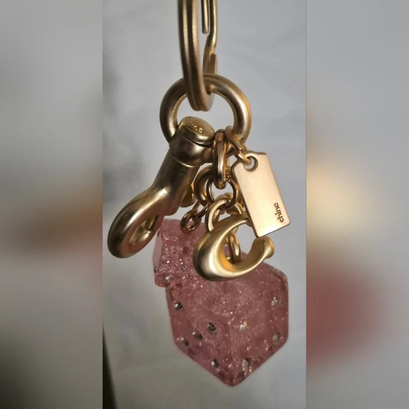 NWOT Coach Dice Cluster Bag Charm/ Keychain - Picture 5 of 9